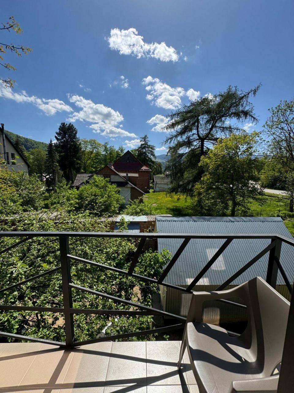 Girske Povitria 2 Villa Iaremcea Exterior foto