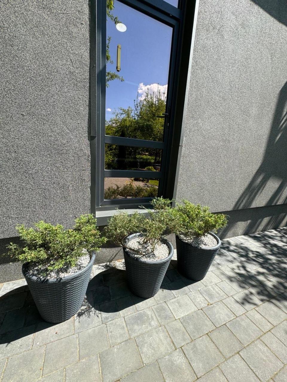 Girske Povitria 2 Villa Iaremcea Exterior foto